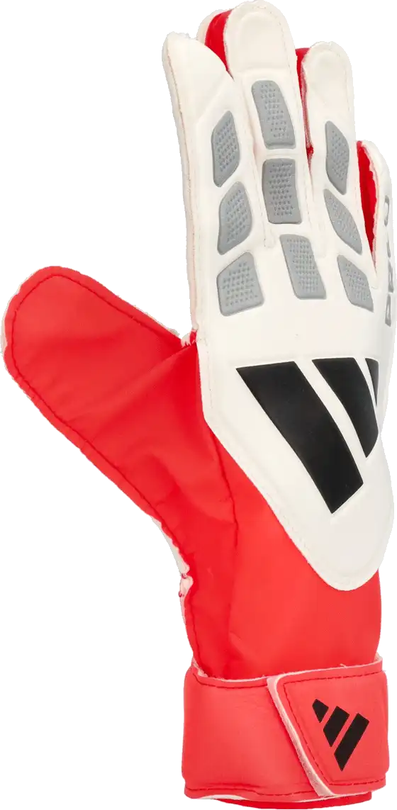 Pánské brankářské rukavice Adidas Predator Training bílo-červené
