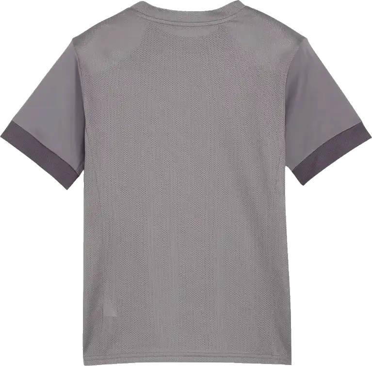 Dětský fotbalový dres Puma teamGOAL Matchday šedý