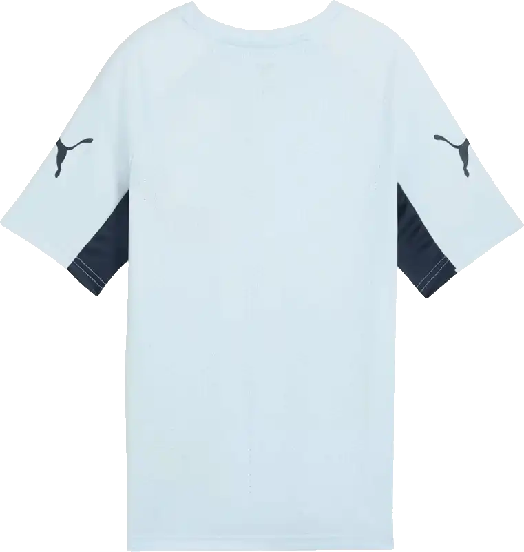 Dětský fotbalový dres Puma individualLIGA blankytný