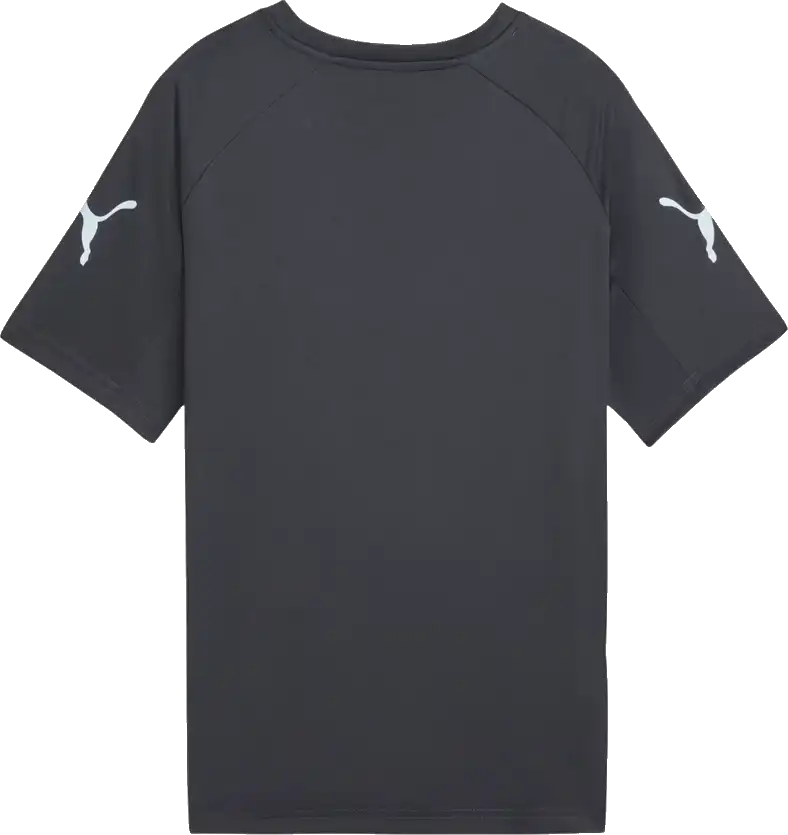 Dětský fotbalový dres Puma individualLIGA Graphic šedý
