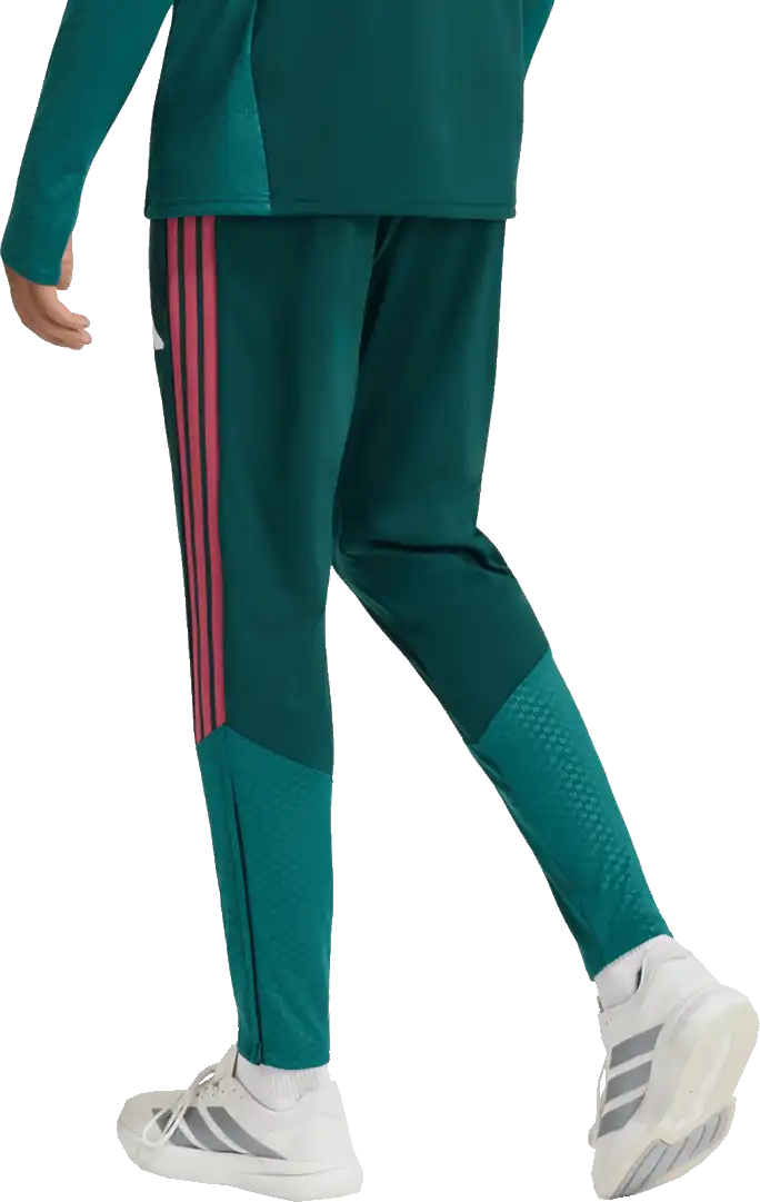 Pánské tréninkové kalhoty Adidas Real Madrid 26/27 Competition zelené