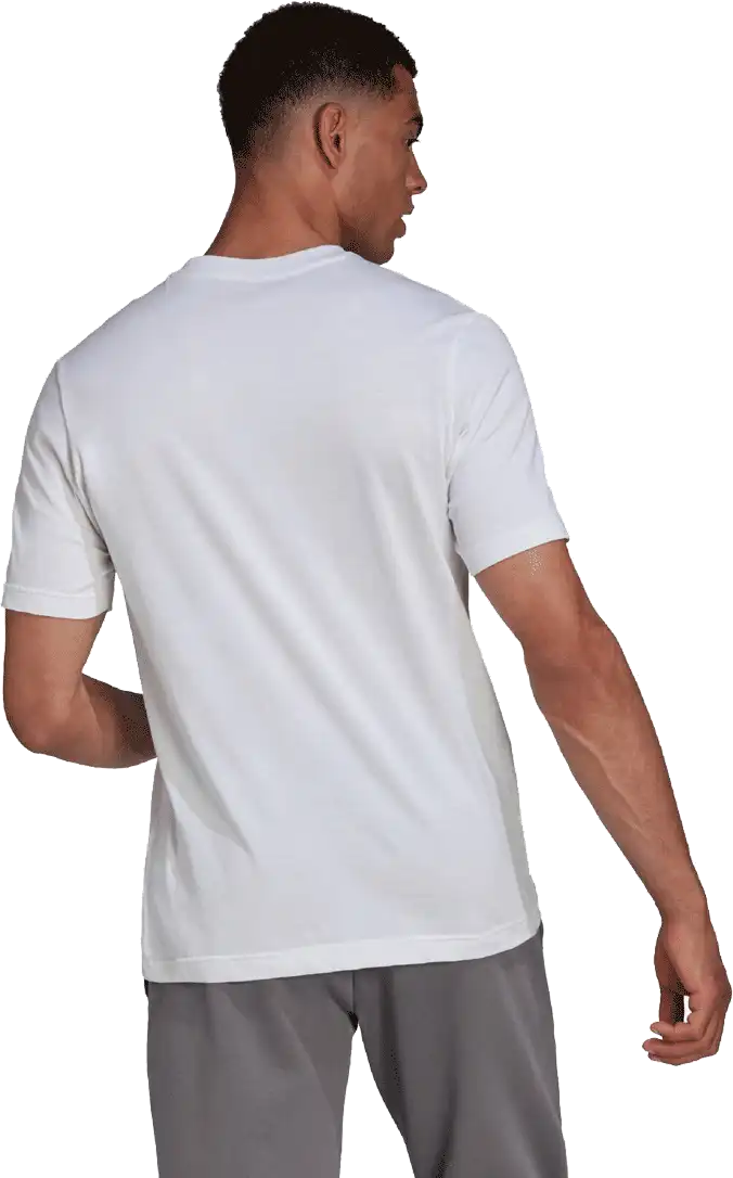 Pánské tričko Adidas Entrada 22 Tee