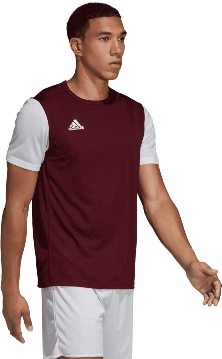 Pánský dres Adidas Estro 19 vínový