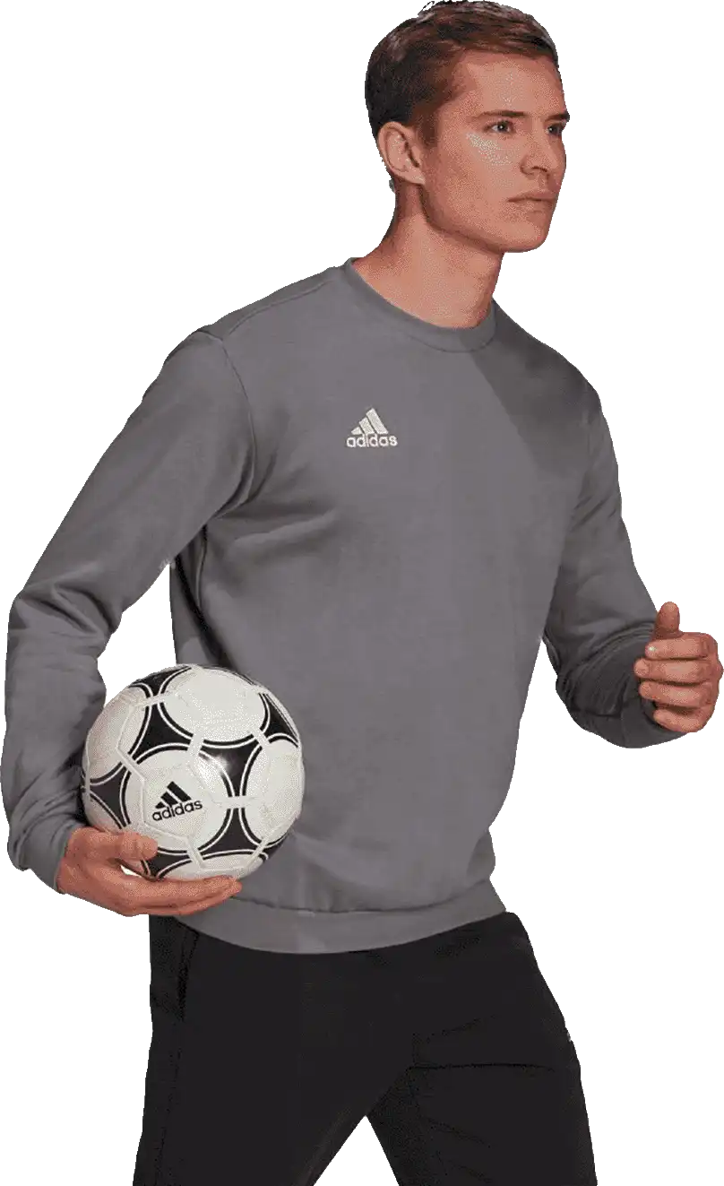 Pánská mikina Adidas Entrada 22 Sweat Top šedá