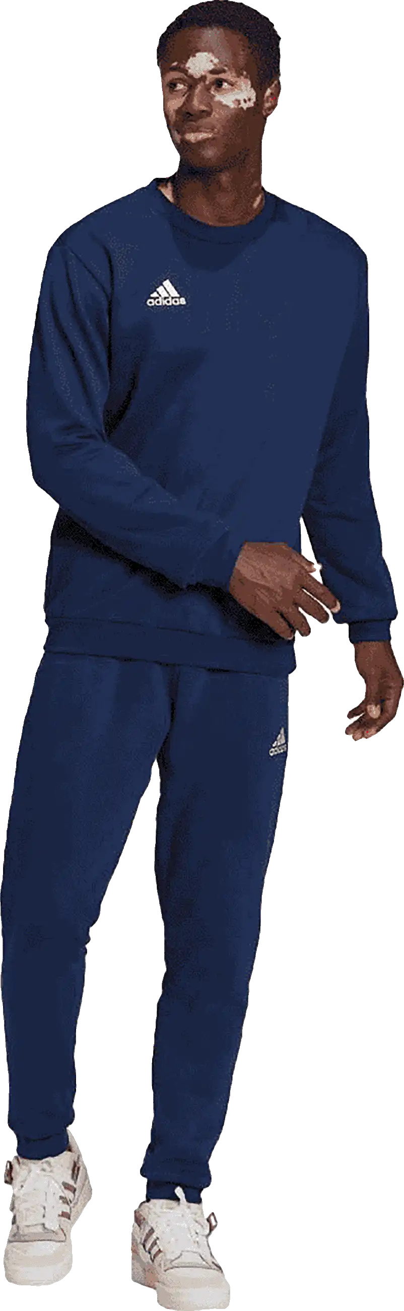 Pánská mikina Adidas Entrada 22 Sweat Top modrá