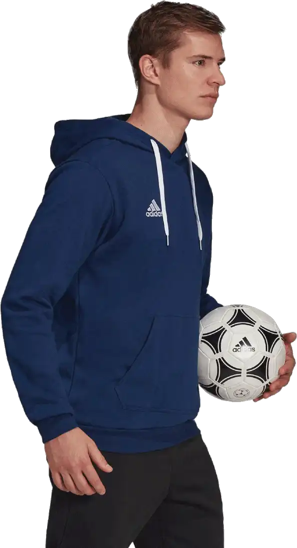 Pánská mikina s kapucí Adidas Entrada 22 Sweat modrá