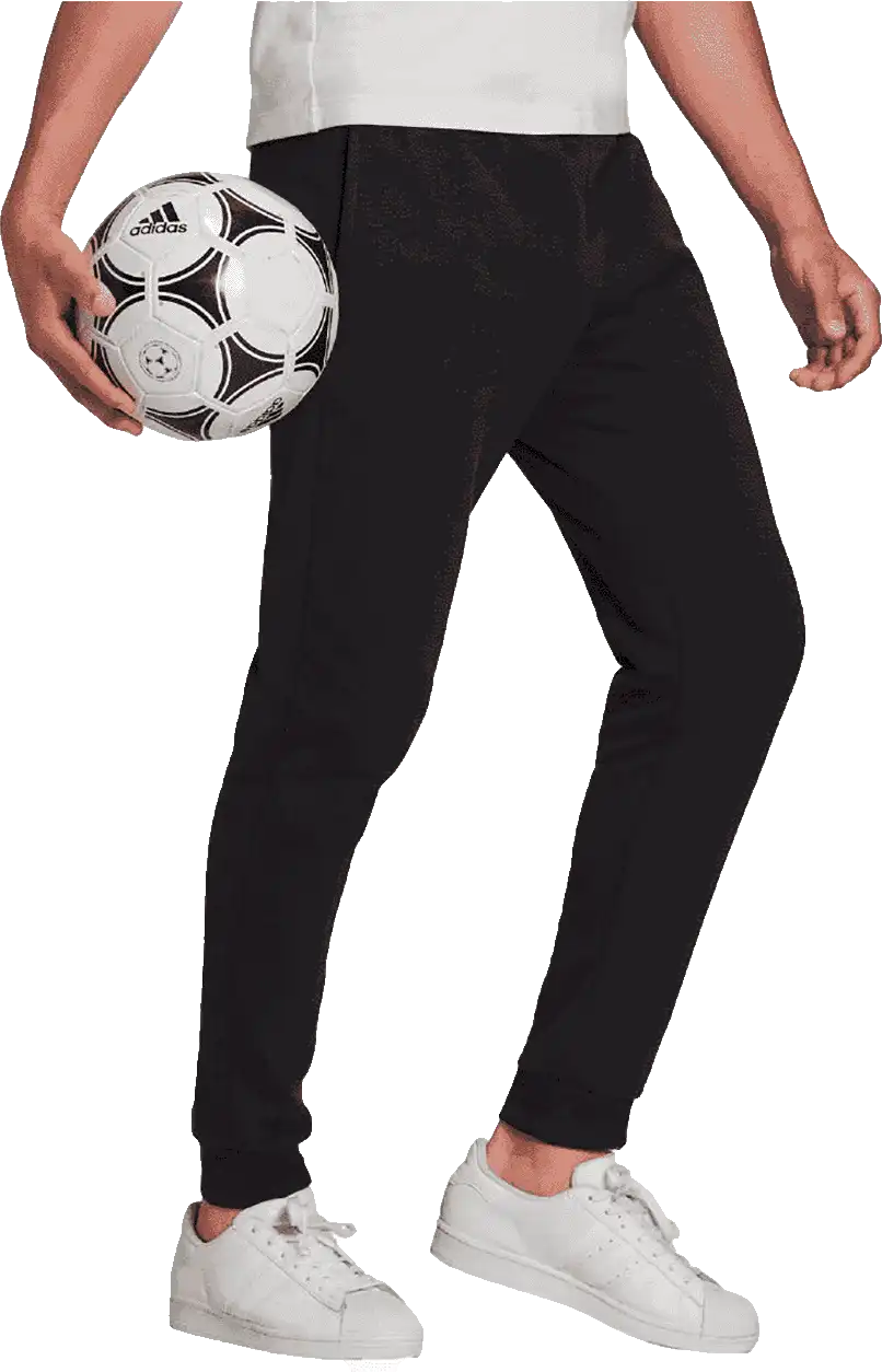 Pánské sportovní kalhoty Adidas Entrada 22 Sweat Pant černé