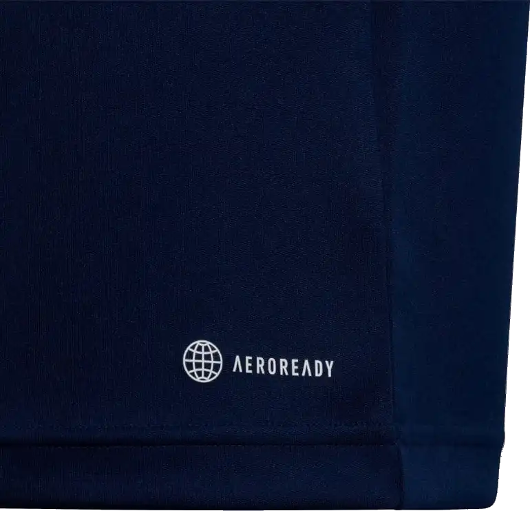Dětská tréninková polokošile Adidas Entrada 22 Polo modrá