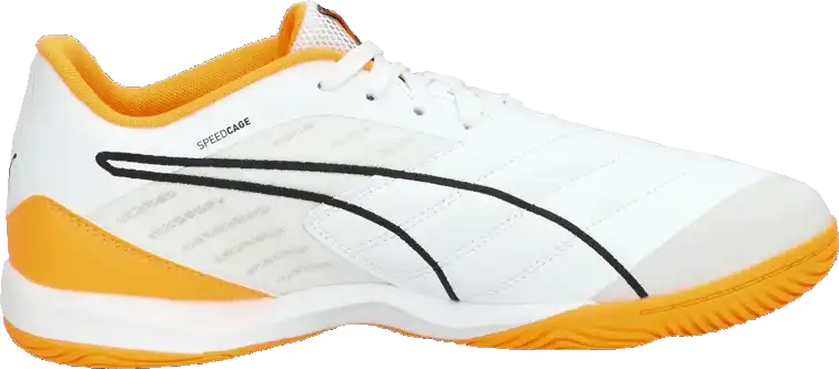 Pánské sálové kopačky Puma Ibero IV bílé