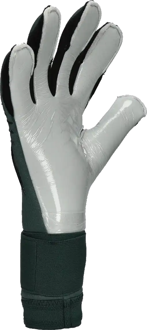 Pánské brankářské rukavice T1TAN White Beast 3.0 zelené