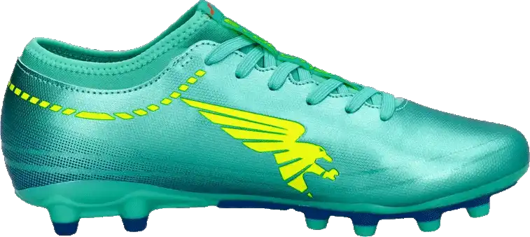 Pánské kopačky lisovky Joma Evolution Cup 2430 FG máta