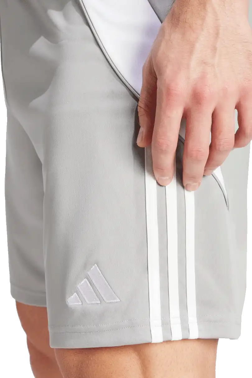 Pánské fotbalové šortky Adidas Tiro 24 Training šedé