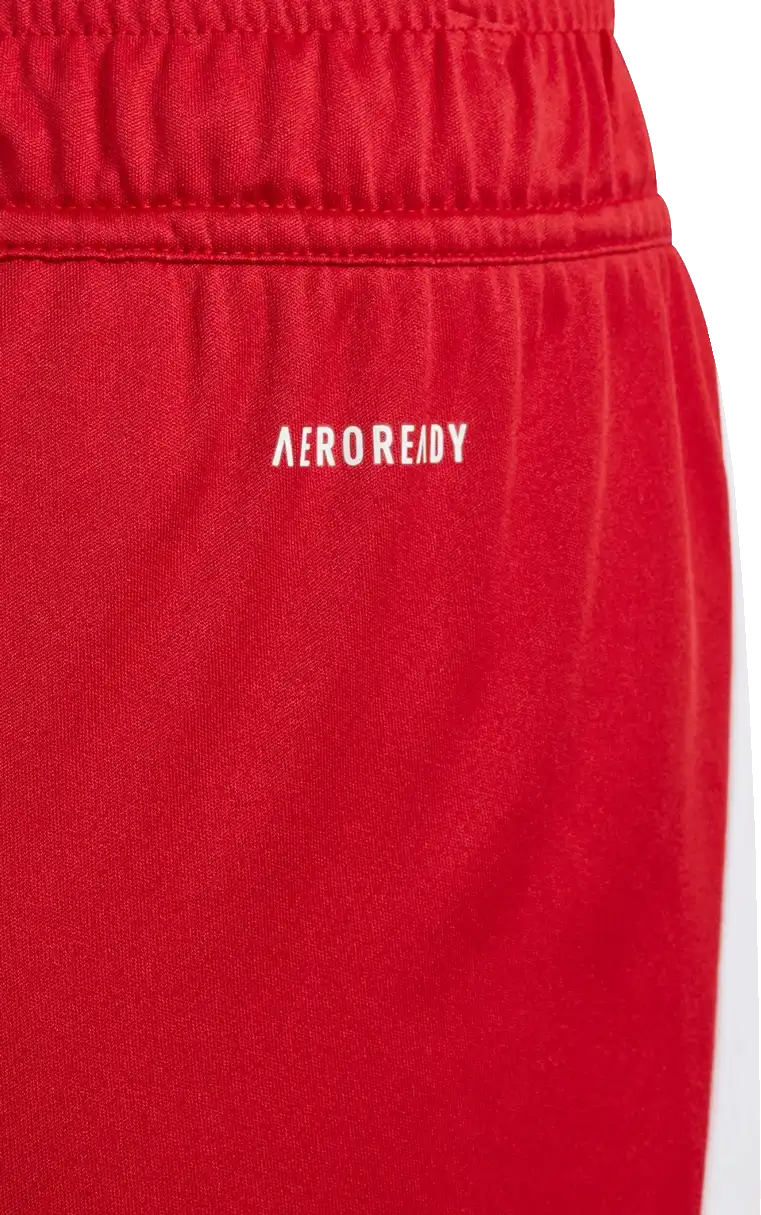 Dětské fotbalové šortky Adidas Tiro 24 červené