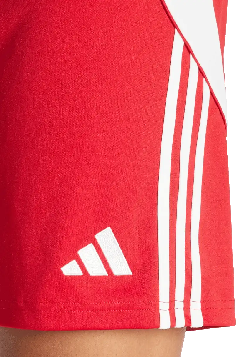 Pánské fotbalové šortky Adidas Tiro 24 Training červené