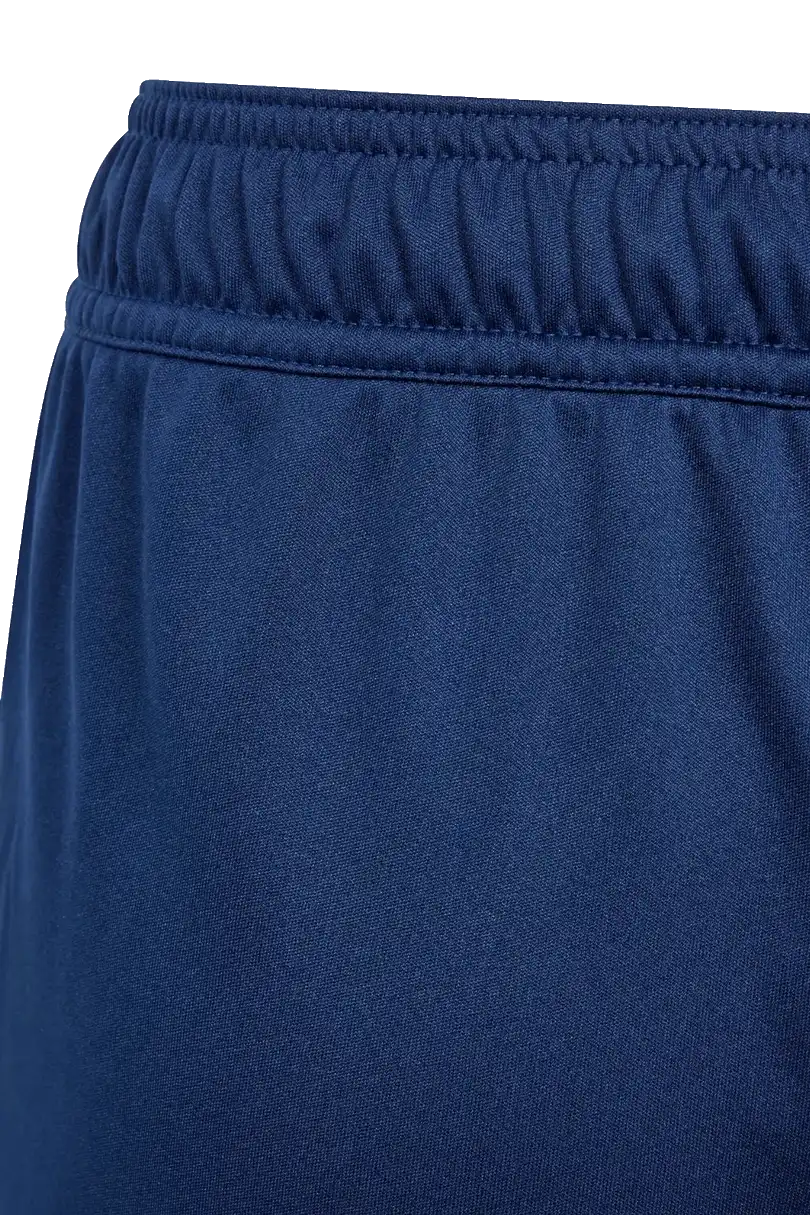 Dětské fotbalové šortky Adidas Tiro 24 modré3