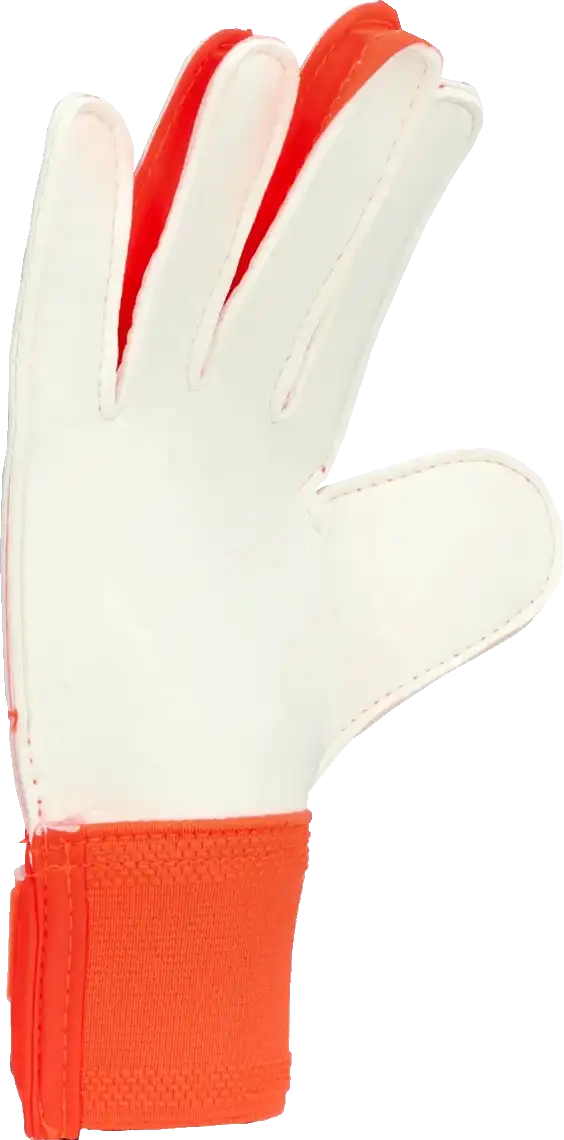 Dětské brankářské rukavice Adidas Predator Training modro-červené