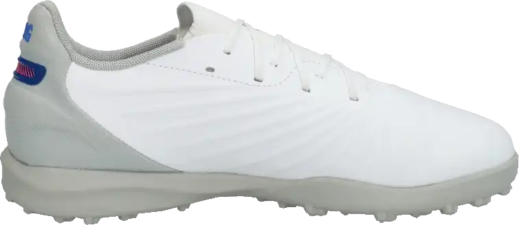 Dětské kopačky turfy Puma King Match TT bílé