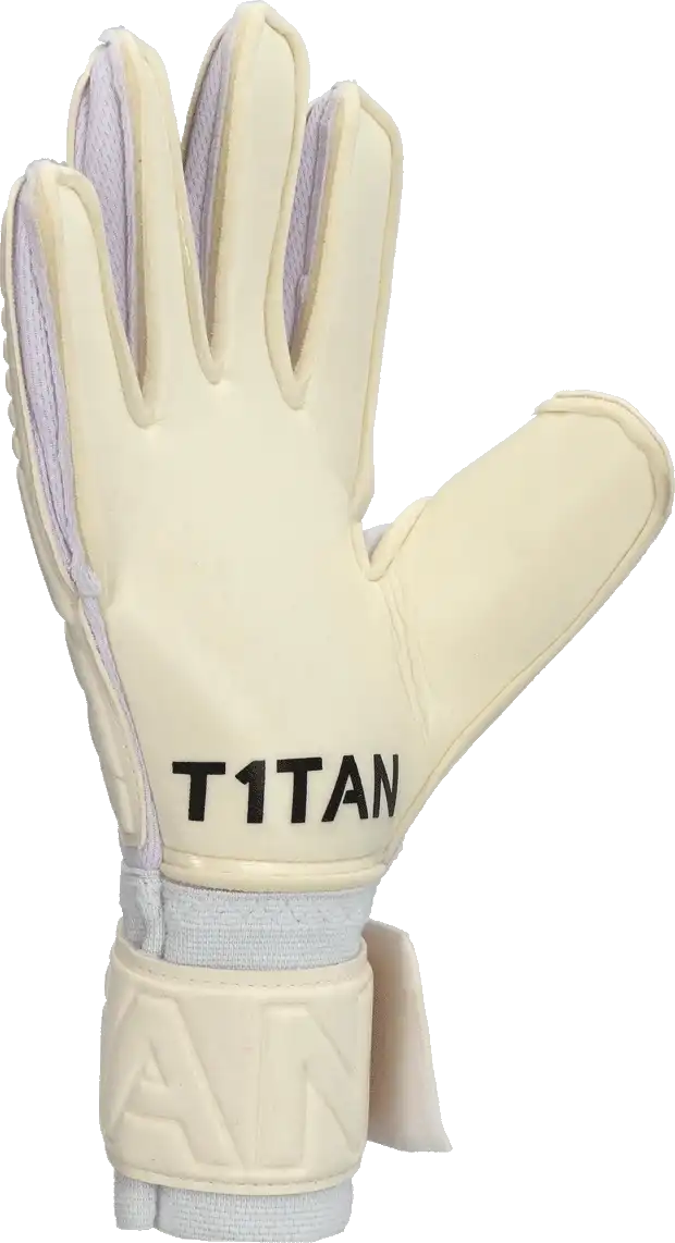 Pánské brankářské rukavice T1TAN Classic 1.0 White Out bílé