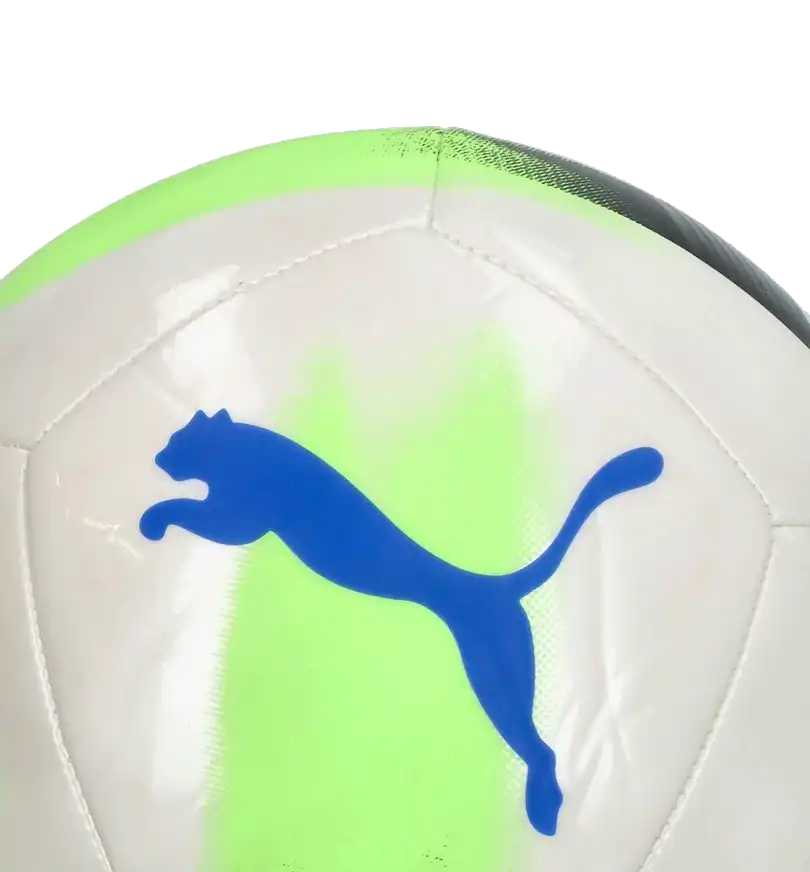 Fotbalový míč Puma Cage velikost 5 bílo-modrý2
