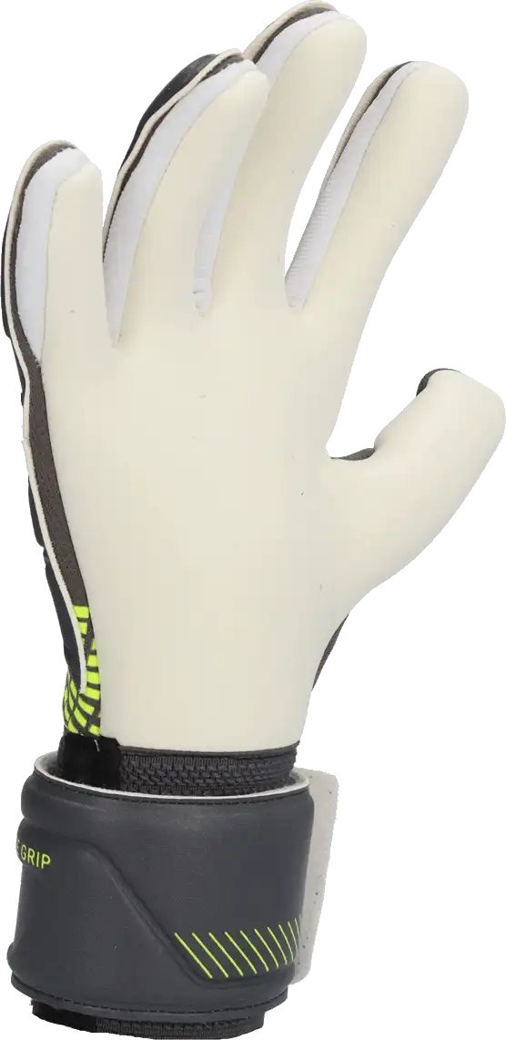Pánské brankářské rukavice Puma Ultra Pro NC šedé