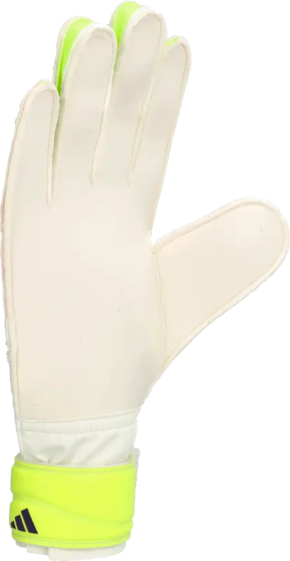 Pánské brankářské rukavice Adidas Predator Training bílé2