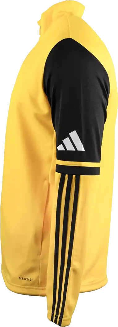 Pánská tréninková bunda Adidas Squadra 25 Training žlutá