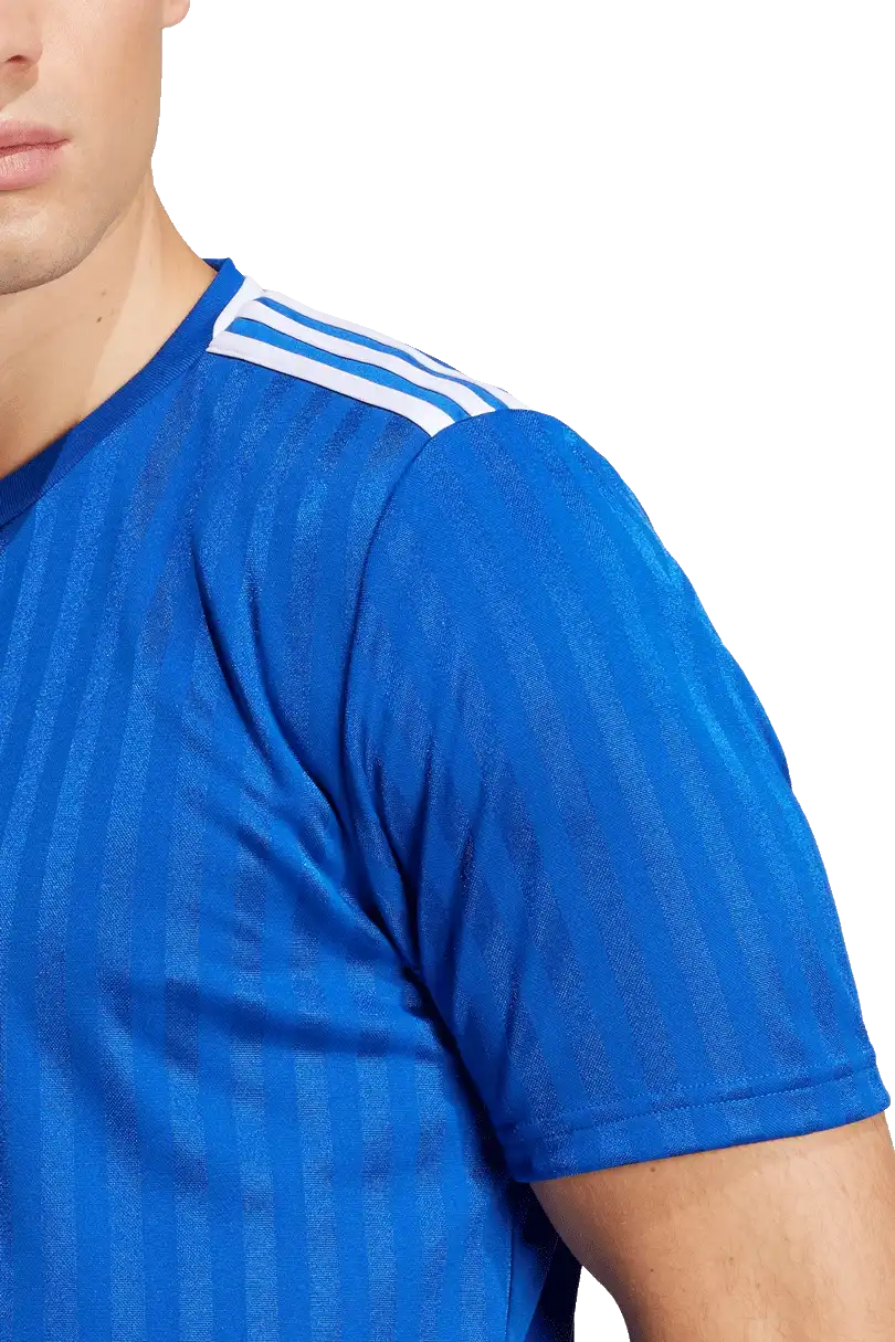 Pánský fotbalový dres Adidas Campeon 25 modrý2