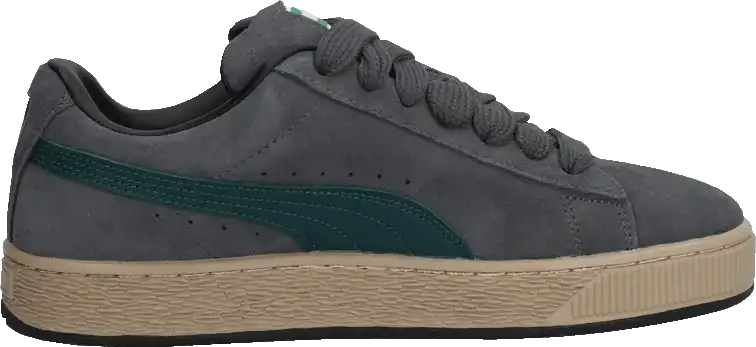 Pánská lifestylová obuv Puma Suede XL šedá