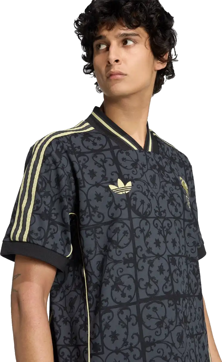 Pánský speciální dres Adidas Liverpool FC 25/26 LFSTLR černý