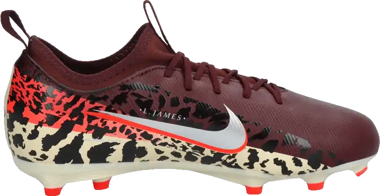 Dětské lisovky Nike Zoom Mercurial Vapor 16 Academy FG/MG bordo2