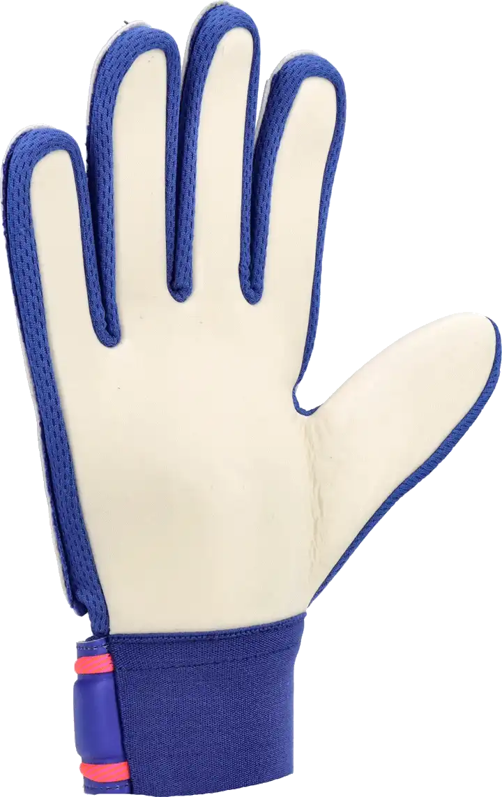 Dětské brankářské rukavice Reusch Attrakt Starter Solid modré3