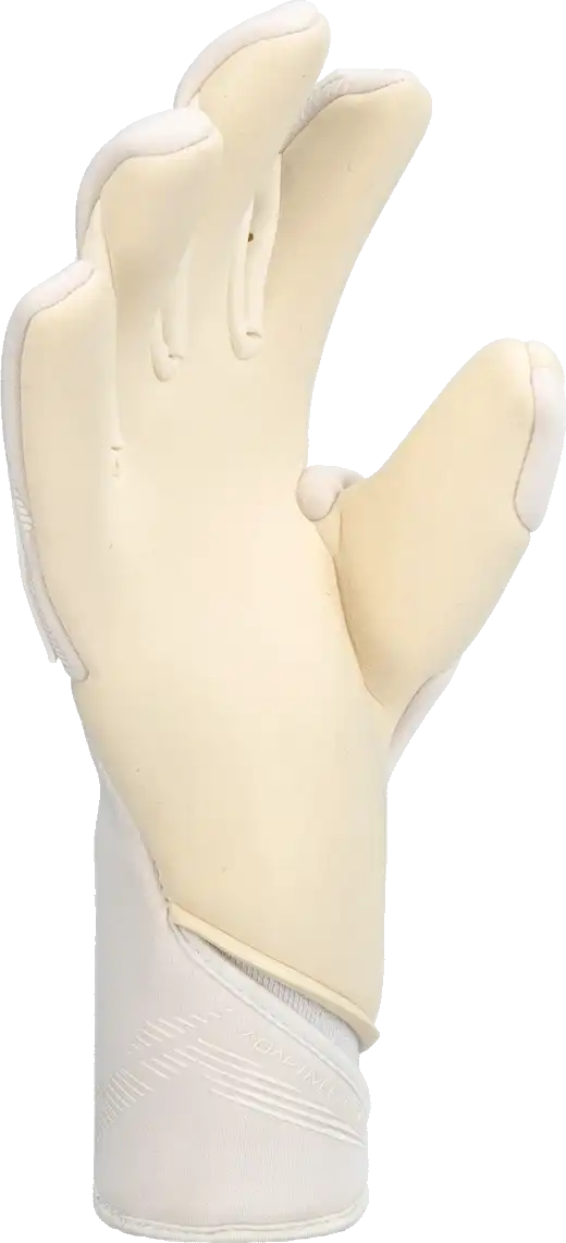 Pánské brankářské rukavice Reusch Attrakt Gold X Strapless bílé