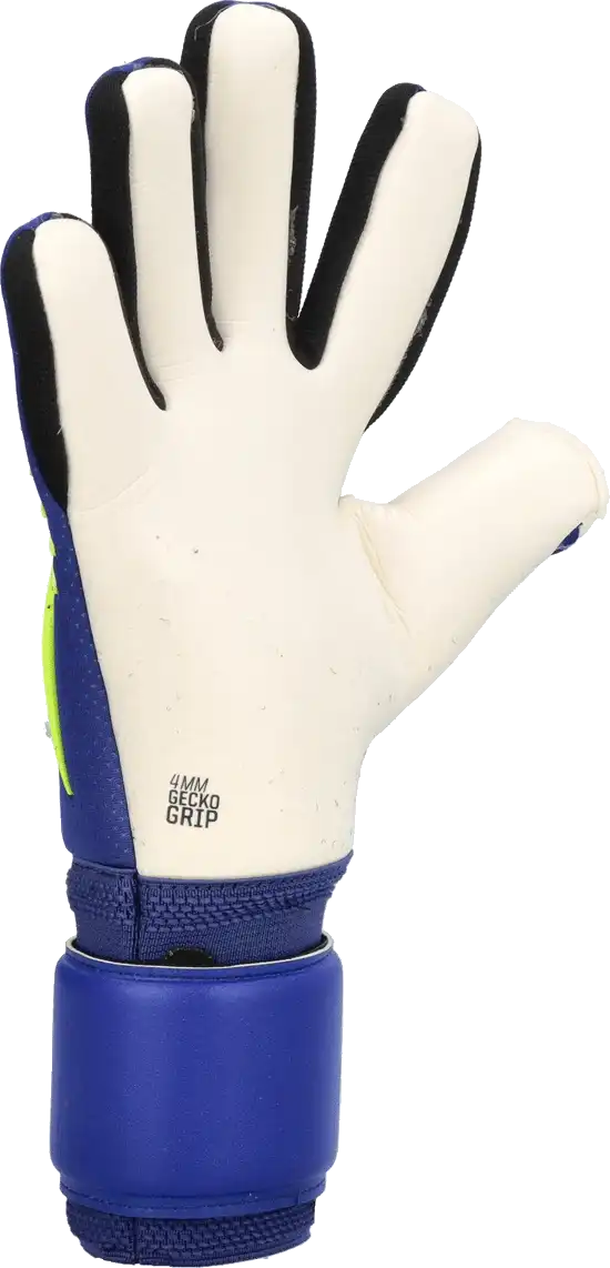 Pánské brankářské rukavice T1TAN Blue Beast 3.0 modré