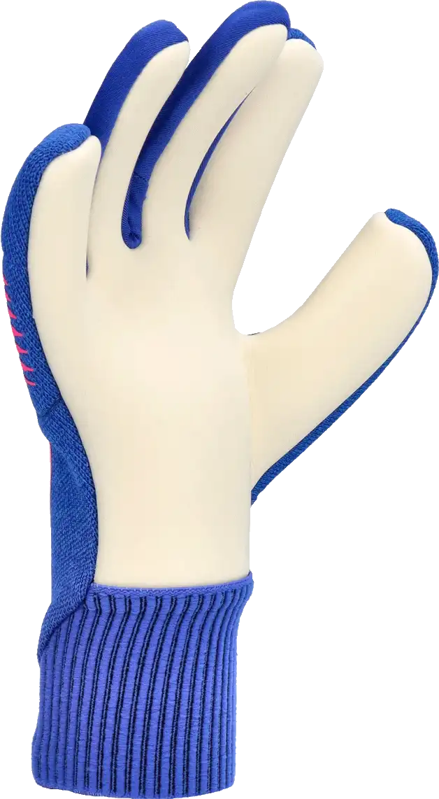 Pánské brankářské rukavice Nike Dynamic Fit modré