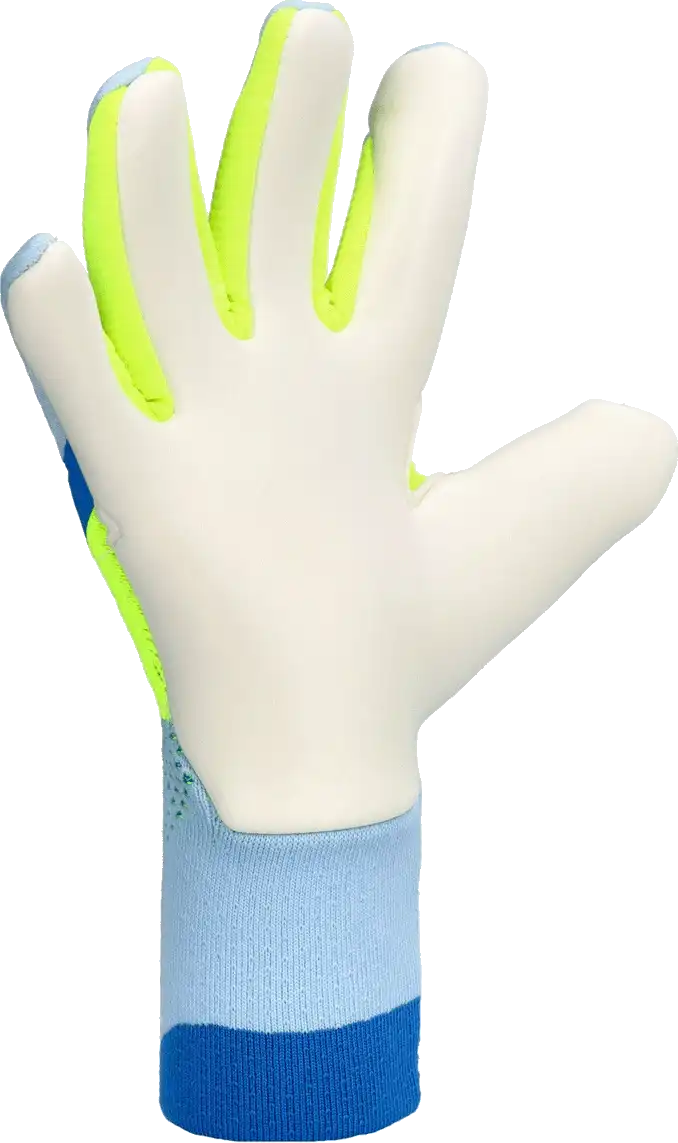 Pánské brankářské rukavice Adidas Predator Pro blankytné