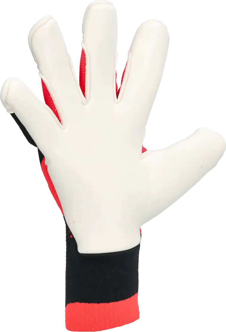 Pánské brankářské rukavice Adidas Predator Pro Hybrid černé