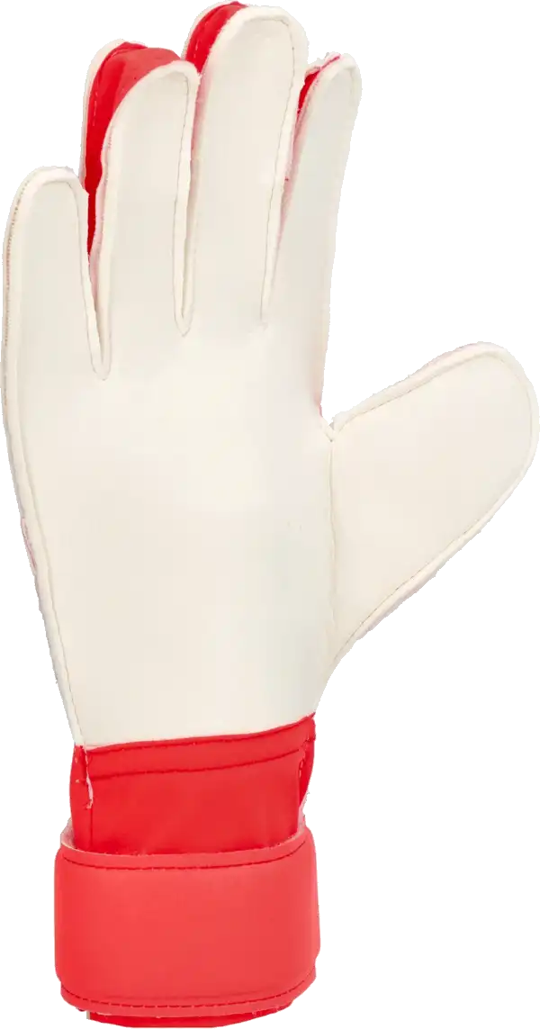 Pánské brankářské rukavice Adidas Predator Training bílo-červené