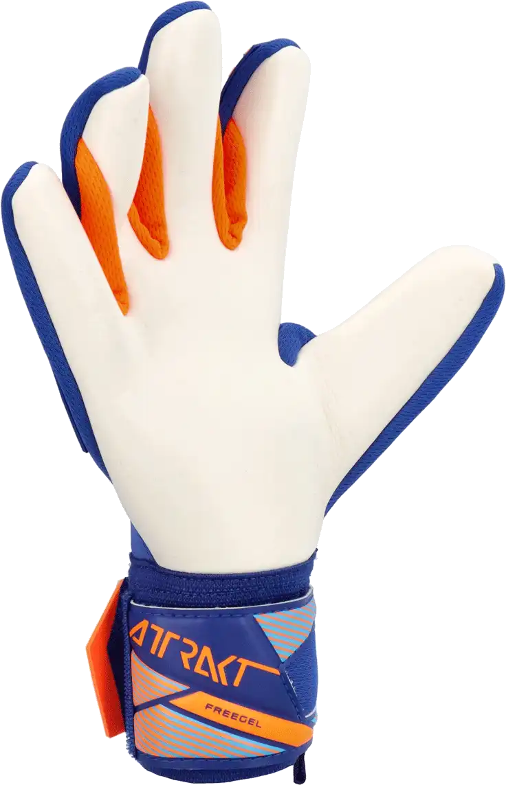 Pánské brankářské rukavice Reusch Attrakt Freegel Advance modré