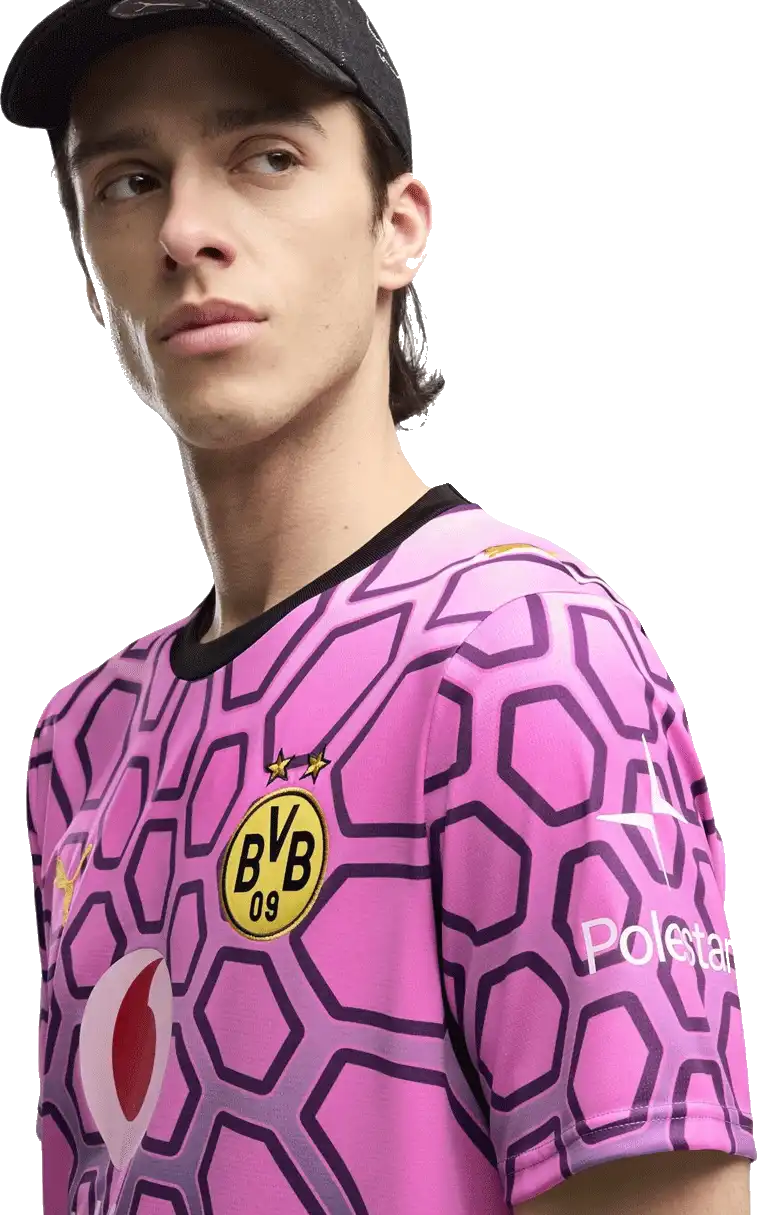 Pánský brankářský fotbalový dres Puma Borussia Dortmund 26/27 fialový