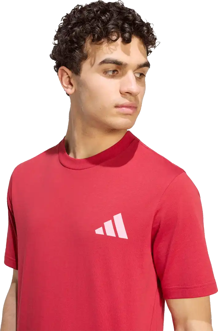 Pánské tričko Adidas Liverpool FC 26/27 Stadium Graphic Tee červené