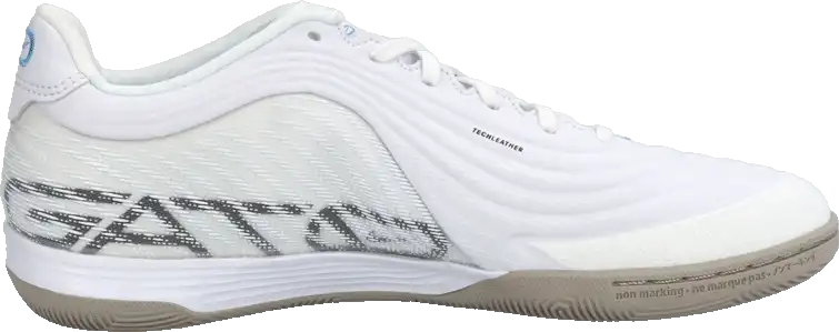 Pánské sálové kopačky Nike Tiempo Reactgato bílé2