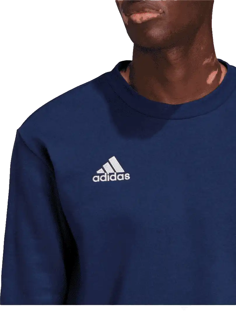 Pánská mikina Adidas Entrada 22 Sweat Top modrá