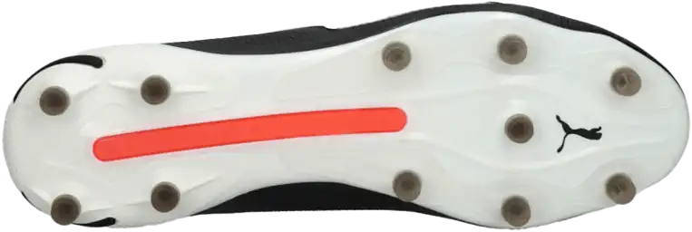 Pánské kopačky lisovky Puma King Ultimate FG/AG černé