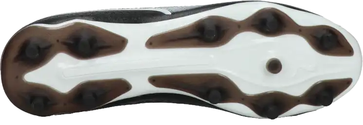 Pánské kopačky lisovky Puma King Match FG/AG černé