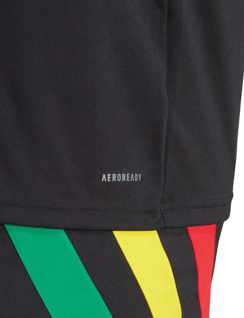 Pánský fotbalový dres Adidas Fortore 23 černý