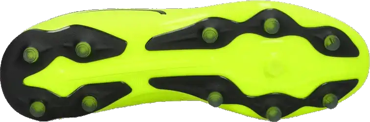 Pánské kopačky lisovky Puma King Match FG/AG limetka