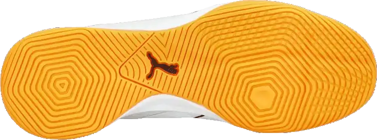 Pánské sálové kopačky Puma Ibero IV bílé