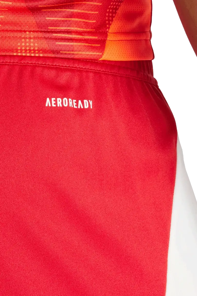 Pánské fotbalové šortky Adidas Tiro 24 Training červené