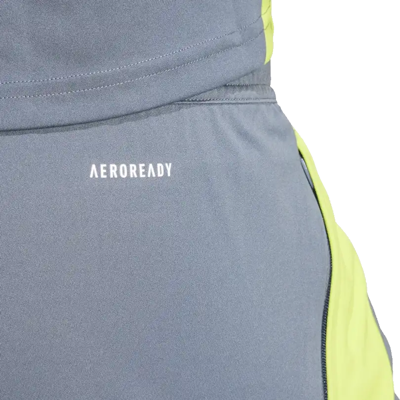 Pánské šortky Adidas Tiro 24 Training šedé