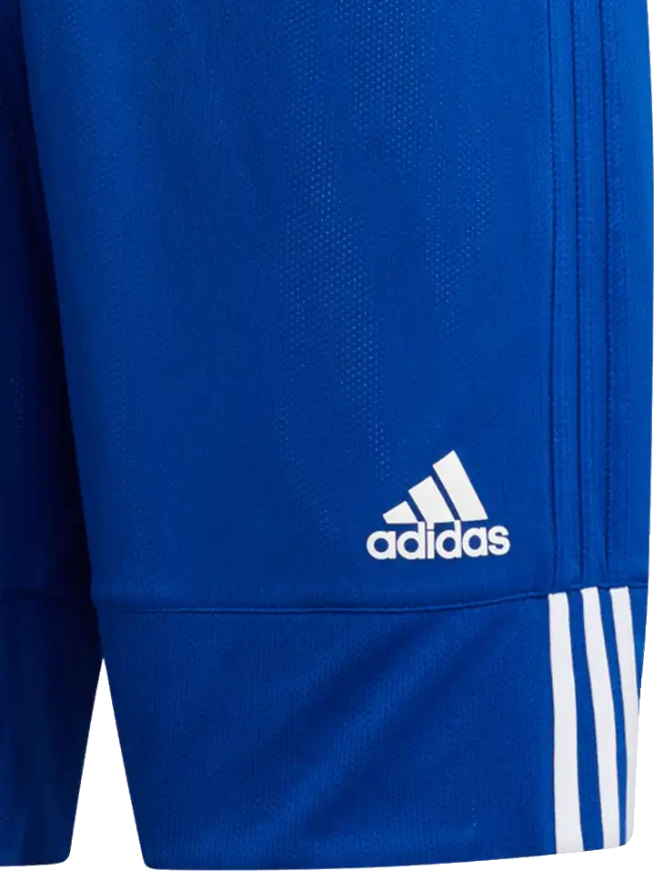 Pánské oboustranné šortky Adidas 3G Speed Reversible modro-bílé